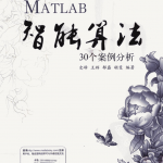 MATLAB智能算法30个案例分析_数据结构教程