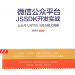 微信公众平台JSSDK开发实战 公众号与HTML5混合模式揭秘_新媒体运营教程