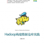 Hadoop构建数据仓库实践 （王雪迎） 完整pdf_服务器教程