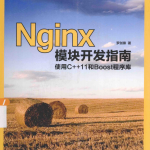 Nginx模块开发指南:使用C++11和Boost程序库 pdf_服务器教程