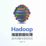 Hadoop海量数据处理:技术详解与项目实战 中文pdf_服务器教程