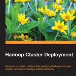 Hadoop Cluster Deployment 英文PDF_服务器教程