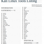 Kali系统下所有工具的教程使用手册汇总 pdf_黑客教程