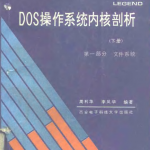 DOS操作系统内核剖析 （下册）_黑客教程