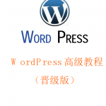 WordPress高级教程（晋级版）中文PDF_PHP教程