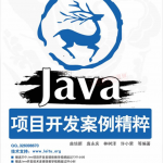 Java项目开发案例精粹