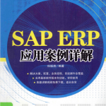 SAP ERP应用案例详解