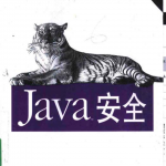 Java安全 第二版