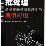 批处理命令在服务器管理中的典型应用 PDF_前端开发教程