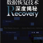 数据恢复技术深度揭秘 刘伟 中文PDF_数据库教程