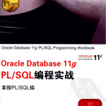 Oracle Databa se 11g PL/SQL编程实战_数据库教程