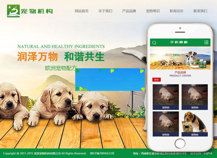 织梦dedecms绿色宠物机构网站模板(带手机移动端)