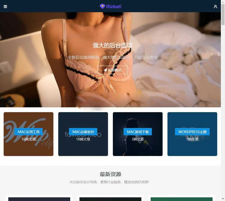 WordPress高端日主题Rizhuti3.2免授权版虚拟资源下载网站源码