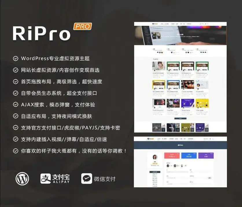 C225 wordpress主题_WordPress主题ripro8.7日主题去除授权版