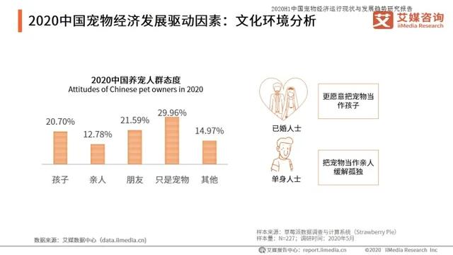 如何打造宠物行业细分领域的暴利项目！-ww