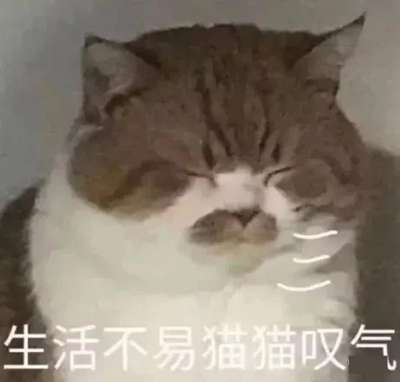 号称零撸的养猫赚钱真能赚钱？ 背后究竟是怎样的陷阱？-ww