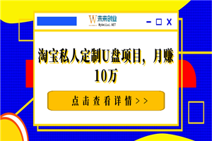 淘宝私人定制U盘项目，月赚10万