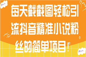 每天截截图轻松引流抖音精准小说粉丝的简单项目！【视频教程】