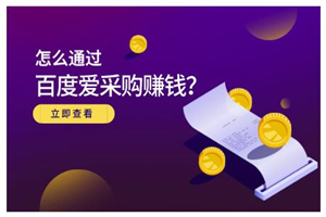 大王·怎么通过百度爱采购赚钱，已经通过百度爱采购完成200多万的销量