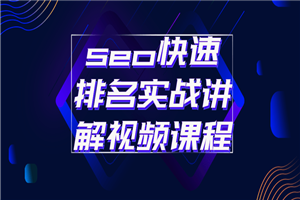 seo快速排名实战讲解视频课程