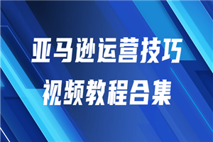 亚马逊运营技巧视频教程合集