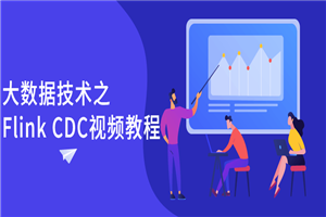 大数据技术之Flink CDC视频教程