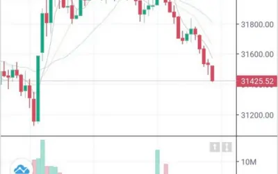 去授权版中英双语Vue前端USDT竞猜系统PHP源码