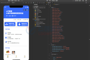 WiFi大师微信小程序独立版V5.0.0 WiFi分销小程序源码
