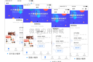 壹佰智慧轻站V2 _1.0.33 全平台企业建站微信小程序