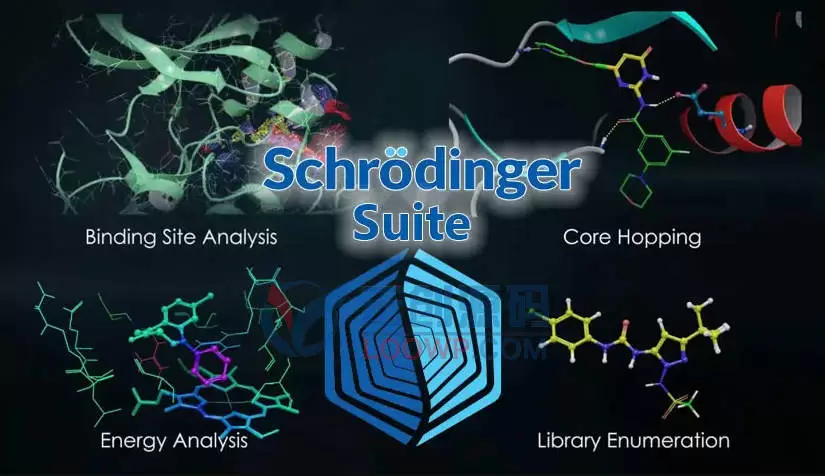 Schrödinger Suites激活版V2024.2 远程协助安装 蛋白质结构预测软件