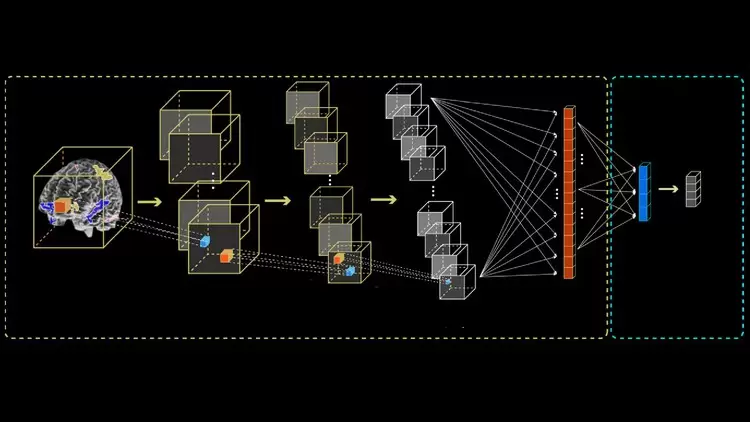 Python和Keras医学影像3D图像分类视频教程