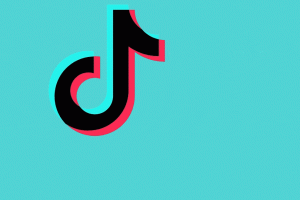 自动双向同步TikTok视频导入器WordPress插件V1.1.2 解密激活版