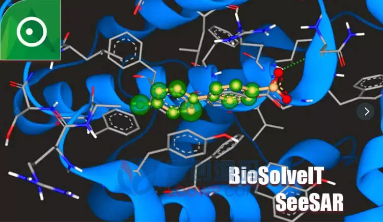 BioSolvetIT Seesar激活版V13.0.5 可视化药物设计软件