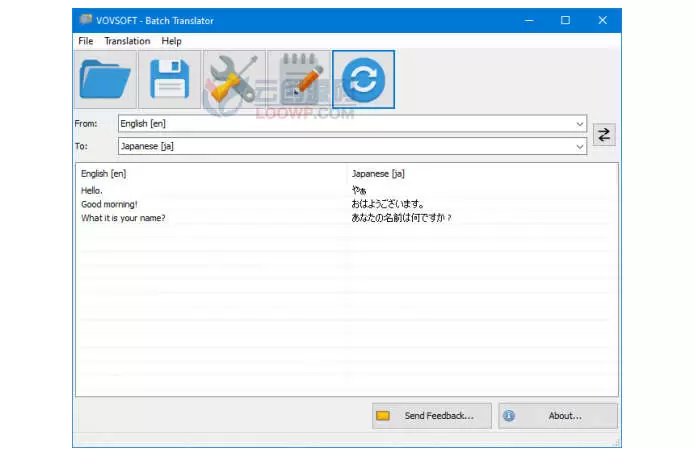 批量翻译软件VovSoft Batch Translator激活版V2.5