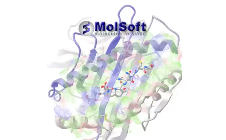 Molsoft ICM-Pro激活版V3.9-3B 蛋白质结构分析软件