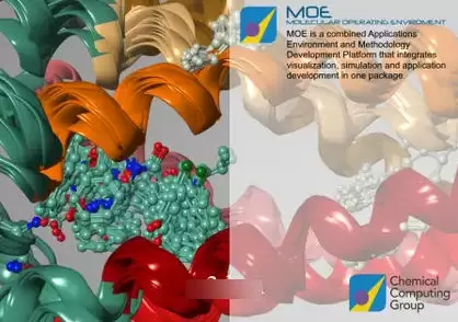 药物发现软件MOE (Molecular Operating Environment)激活版 2022.02 Linux