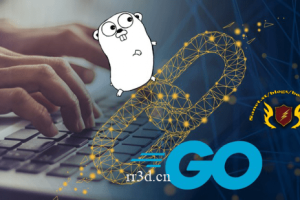 2022版Go编程语言(Golang)区块链应用构建开发视频教程