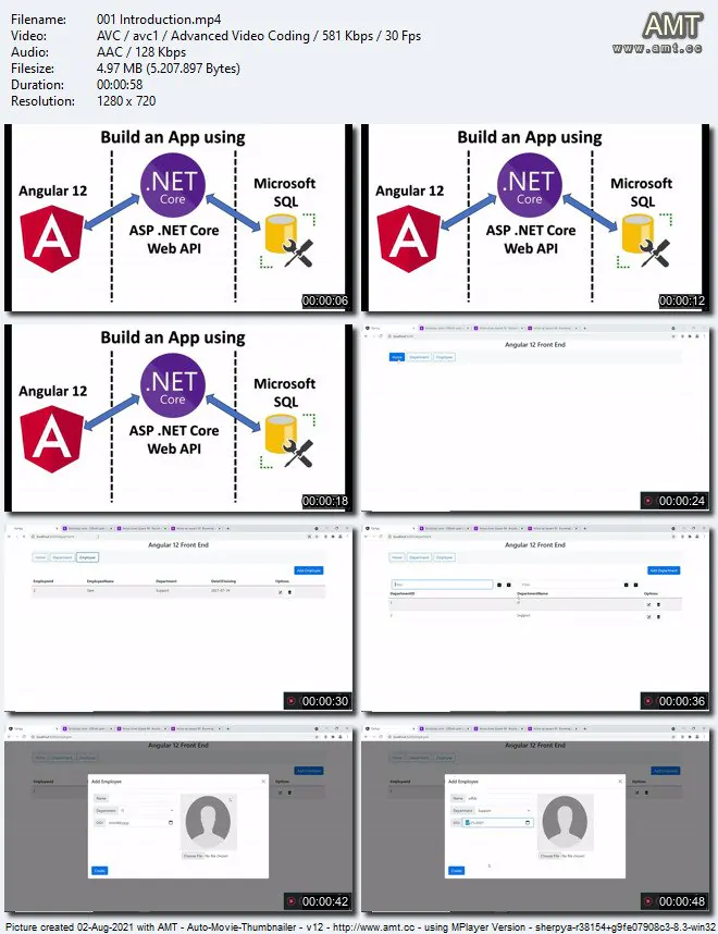 Angular 12 和 .NET Core Web API全栈开发从入门到精通视频教程