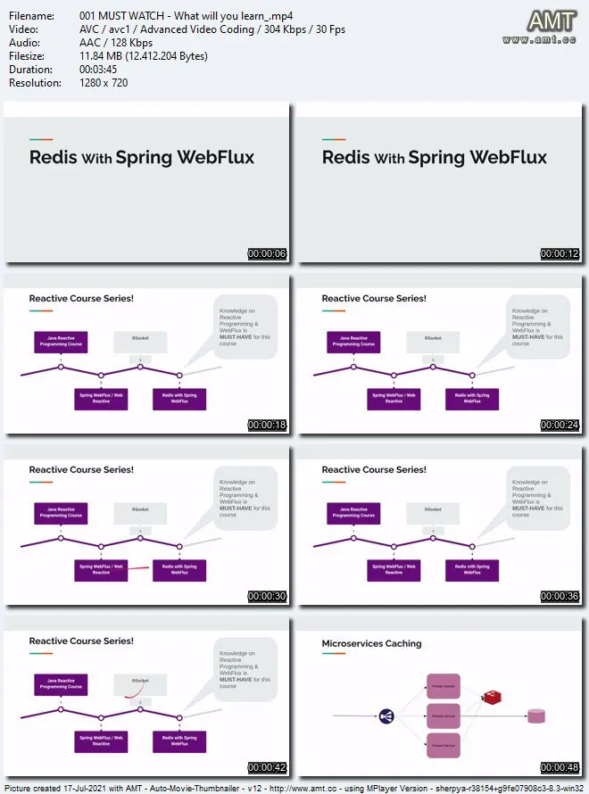 Redis与Spring WebFlux可扩展高性能响应式微服务开发视频教程