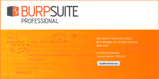 集成渗透测试工具Burp Suite Professional激活版V2022.8.2