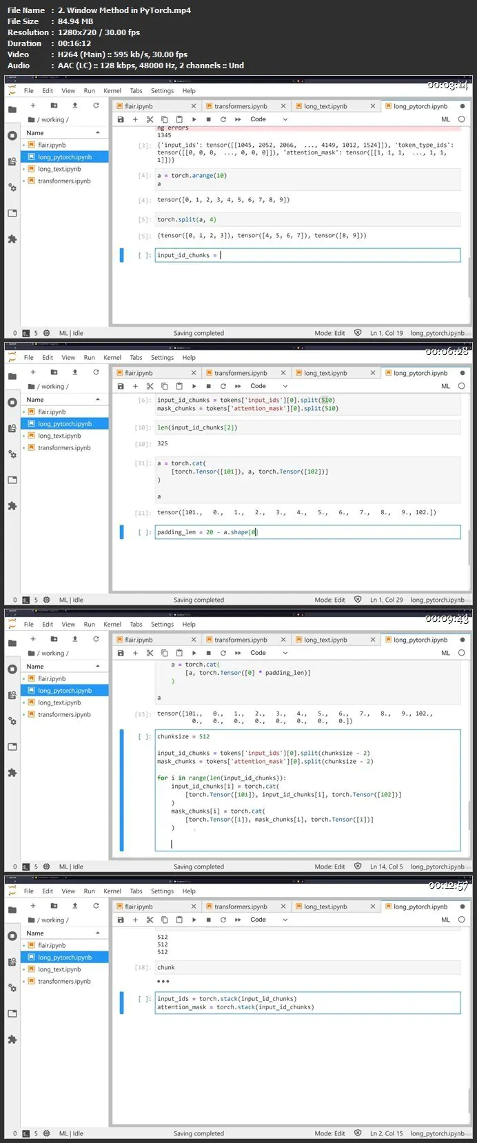 Python自然语言处理Transformers模型项目实战视频教程