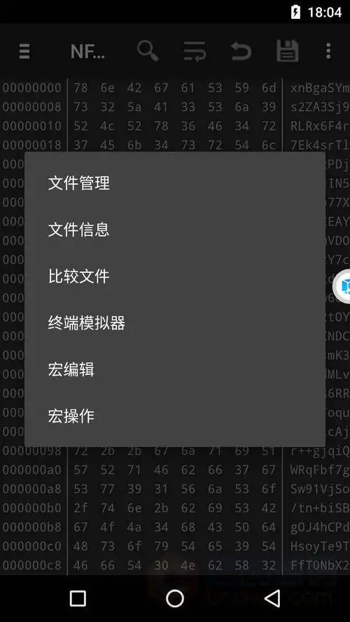 逆向神器HEX Editor(十六进制编辑器)最新美化完全汉化版