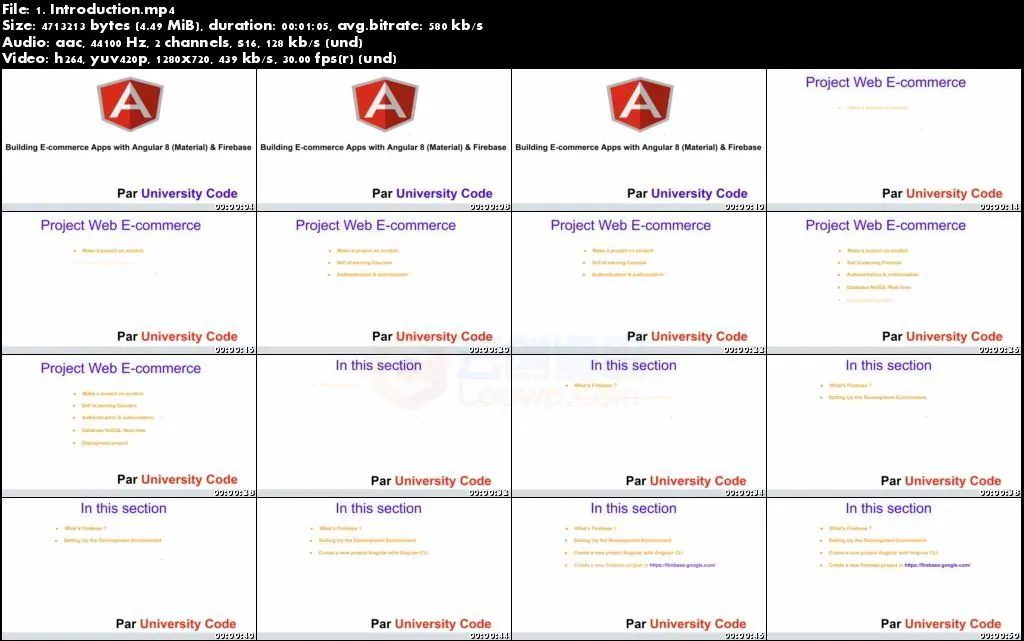 应用Angular 8和Firebase构建电子商务网站2020新版视频教程