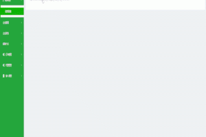 价值8000元聚合支付系统源码/代付系统