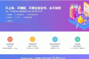 11月版APP签发和APP分发系统源码/带免签封装/对接码支付/带文字安装说明