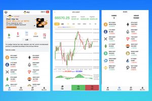 MagicZone多语言微交易所源码|外汇微盘系统/秒合约交易+VP秒合约/带质押理财功能与智能盈亏风控|PHP源码