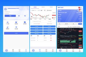 99bitbet双语言USDT竞猜下注源码/海外PC28虚拟货币竞猜玩法/根据虚拟货币行情走势自动开奖结算/带预设开奖结果