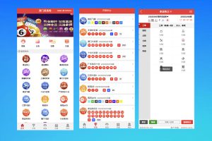 二开彩票源码/前端uniapp+完整数据+新U+全部私彩+控制彩种