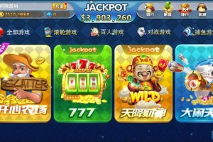 傲玩海外版棋牌系统平台源码