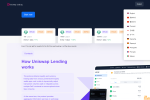 11国语言usdt质押授权秒U系统/质押生息系统/trc/erc/bsc三链授权